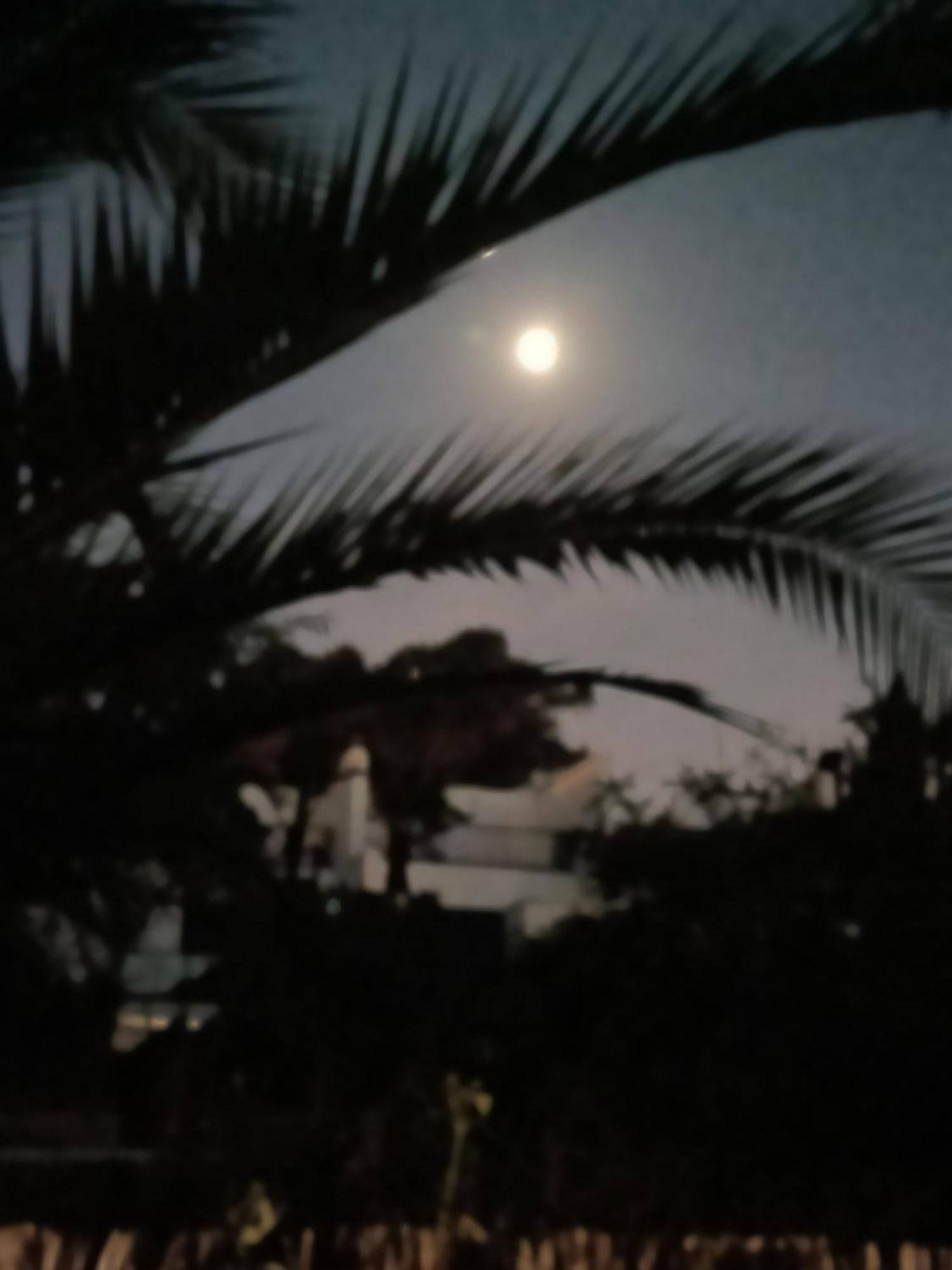 Casa Lua Daire Conil De La Frontera Dış mekan fotoğraf